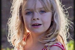 Avi-Claire