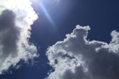 Ray