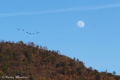 Lucky-Moon