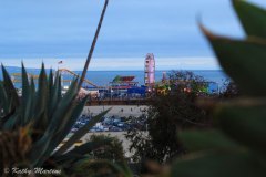 Peeking At The Pier