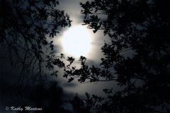 Super Moon 2