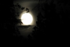 Super Moon