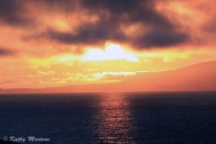 The Golden Pacific