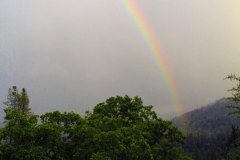 Trinity Rainbow